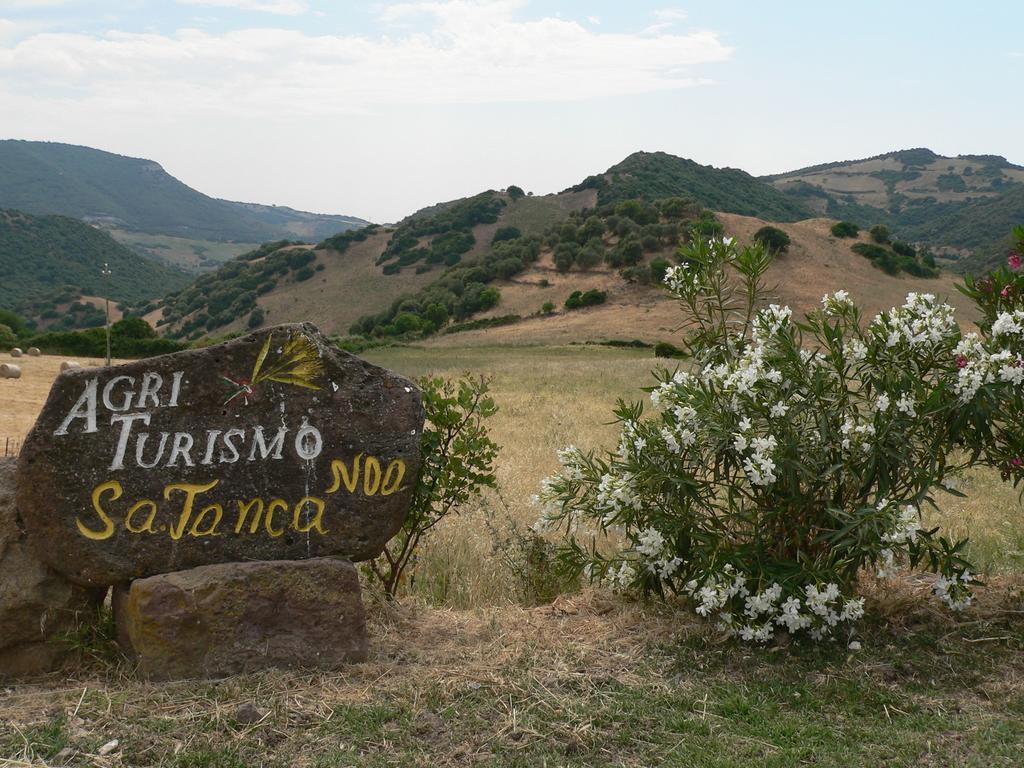 Tergu Agriturismo Sa Tanca Noa מראה חיצוני תמונה