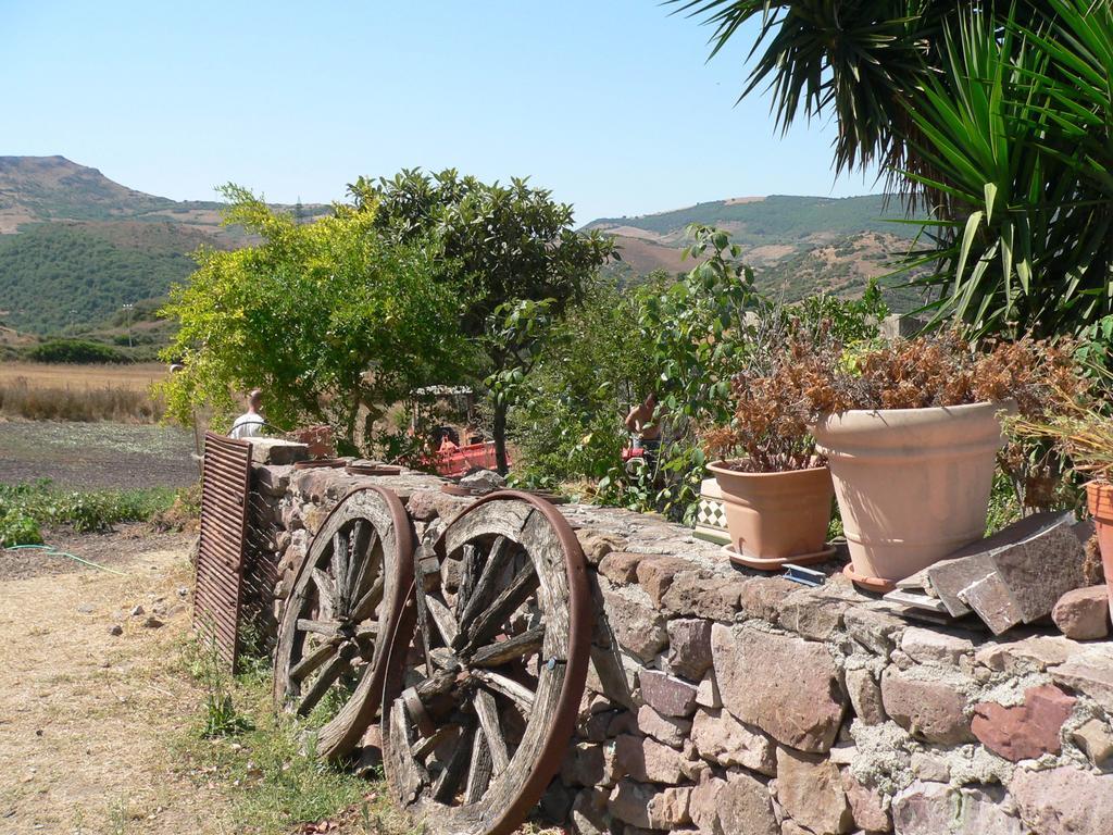 Tergu Agriturismo Sa Tanca Noa מראה חיצוני תמונה