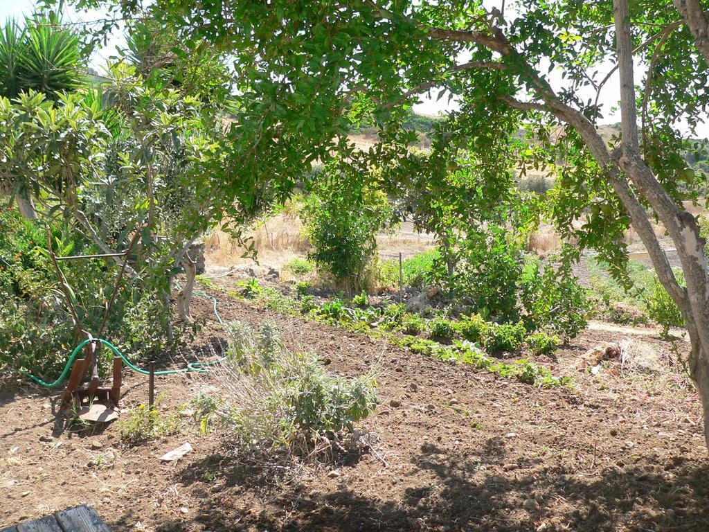 Tergu Agriturismo Sa Tanca Noa מראה חיצוני תמונה