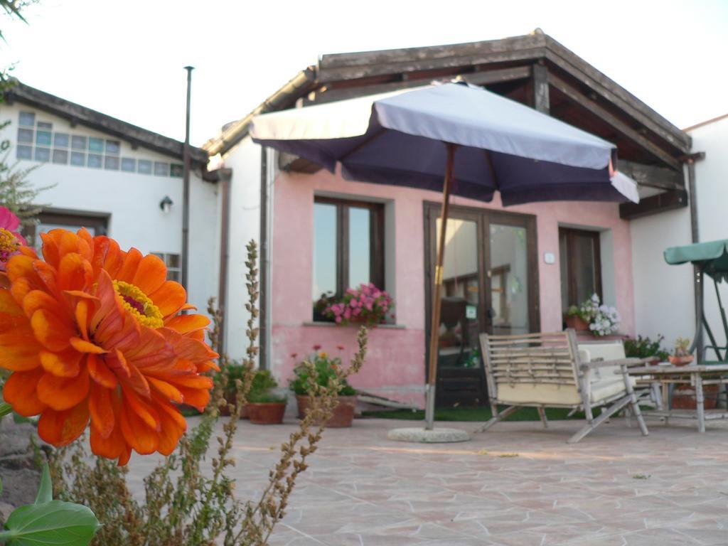 Tergu Agriturismo Sa Tanca Noa מראה חיצוני תמונה