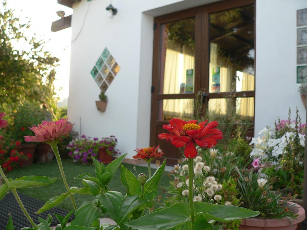 Tergu Agriturismo Sa Tanca Noa מראה חיצוני תמונה