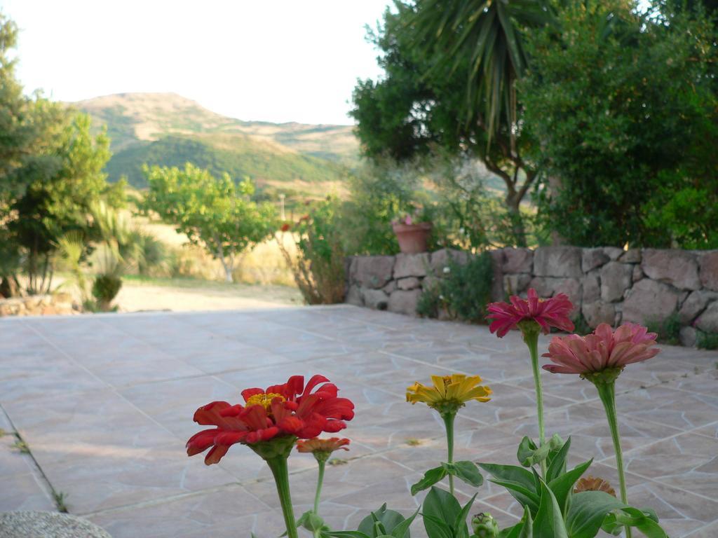 Tergu Agriturismo Sa Tanca Noa מראה חיצוני תמונה