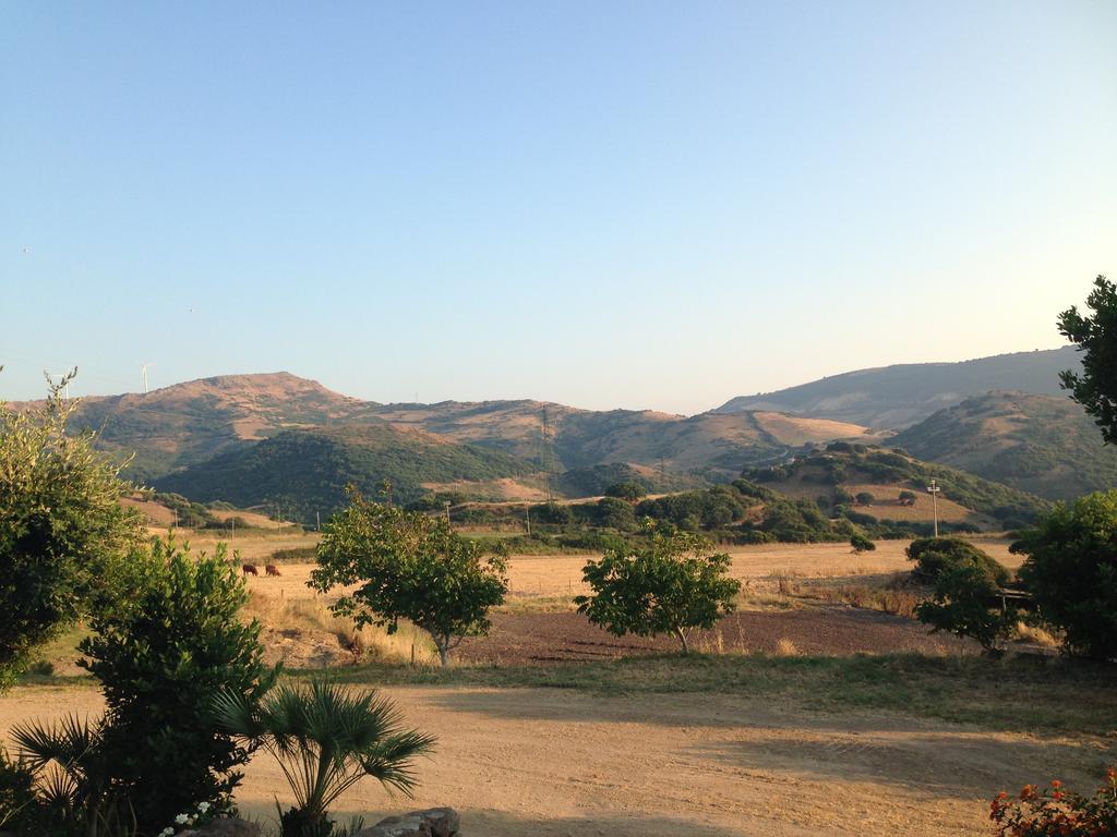 Tergu Agriturismo Sa Tanca Noa מראה חיצוני תמונה