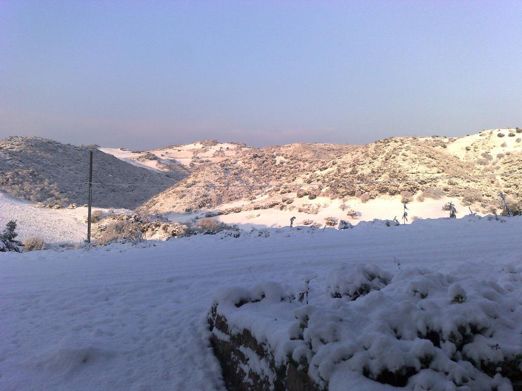 Tergu Agriturismo Sa Tanca Noa מראה חיצוני תמונה