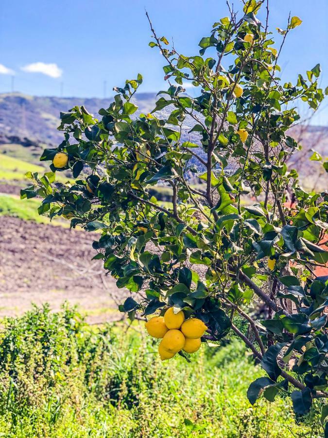 Tergu Agriturismo Sa Tanca Noa מראה חיצוני תמונה