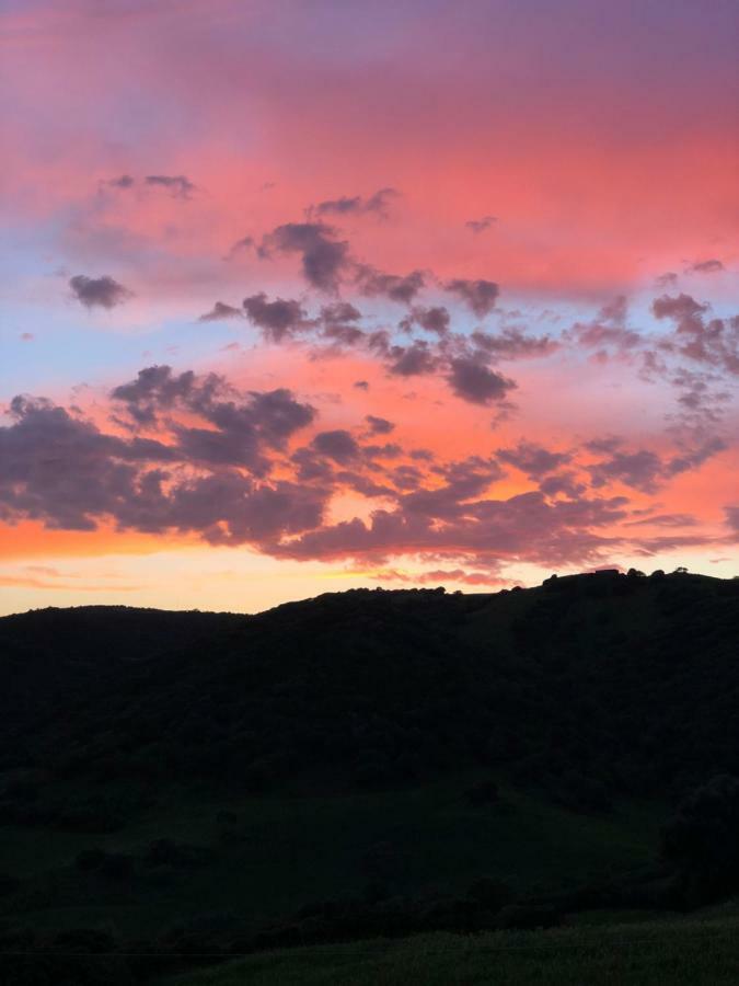 Tergu Agriturismo Sa Tanca Noa מראה חיצוני תמונה