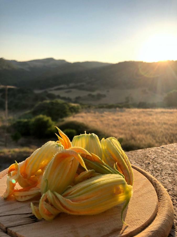 Tergu Agriturismo Sa Tanca Noa מראה חיצוני תמונה